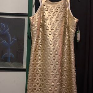 Lily Pulitzer never worn dress $75